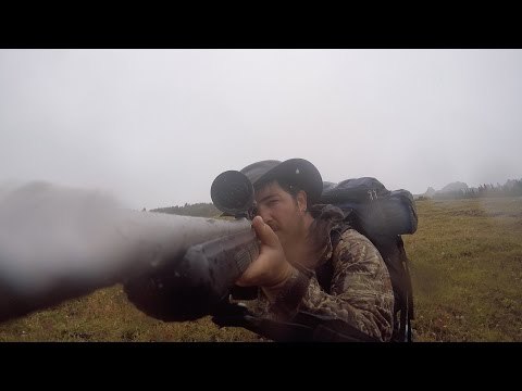 Family on Camping Trip Encounter Grizzly Bear and Cubs