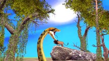 Lion Attacks Great Python In Jungle | Lion Vs Python Epic Battle Amazing Fight Scenes Short Movie