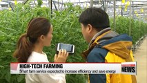 Korea tests smart farm service to increase efficiency and save energy