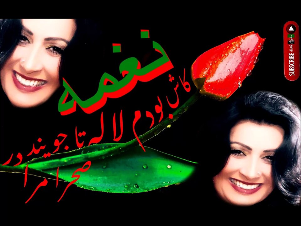 Naghma - نغمه - کاش بودم لاله تا جويند در صحرا مرا