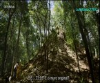 Naachtun, Em Busca da Última Cidade Maia, The Forgotten Mayan City, Canal Odisseia