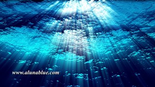 Underwater Video Backgrounds - Water FX0308 HD, 4K