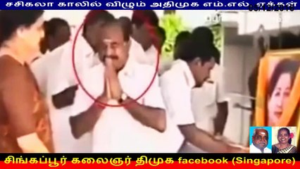 சசிகலா காலில் விழும் அதிமுக எம்.எல். ஏக்கள்