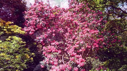 (RANT) 'Yea, this show is dumb, but it's for kids'