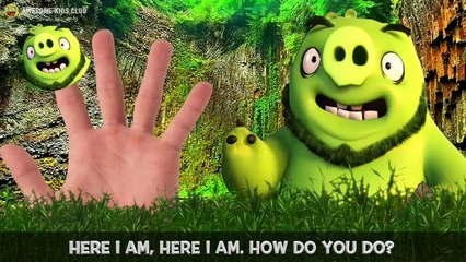 Angry Birds Finger Family Song with Movie Characters!
