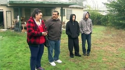 Un chat terrifié est pris au piège au sommet d'un poteau électrique pendant 8 jours...