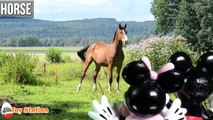 Mickey and Minnie Learn Animals and Sounds in a Funny Way | Horse Lion Dog Cow Sheep Goat Rooster