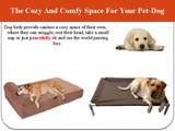 Buy Raised and Large Dog Beds from Credible Online Stores