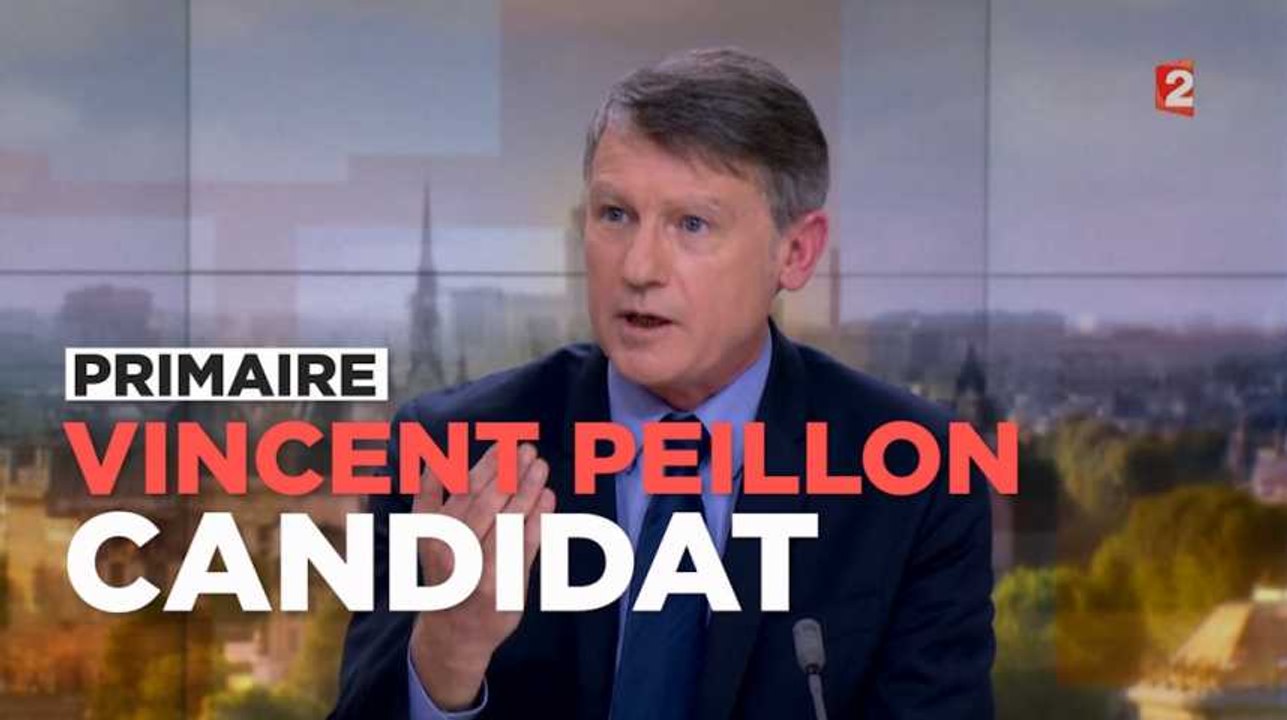 Vincent Peillon : "Je suis le candidat d'une éthique politique"