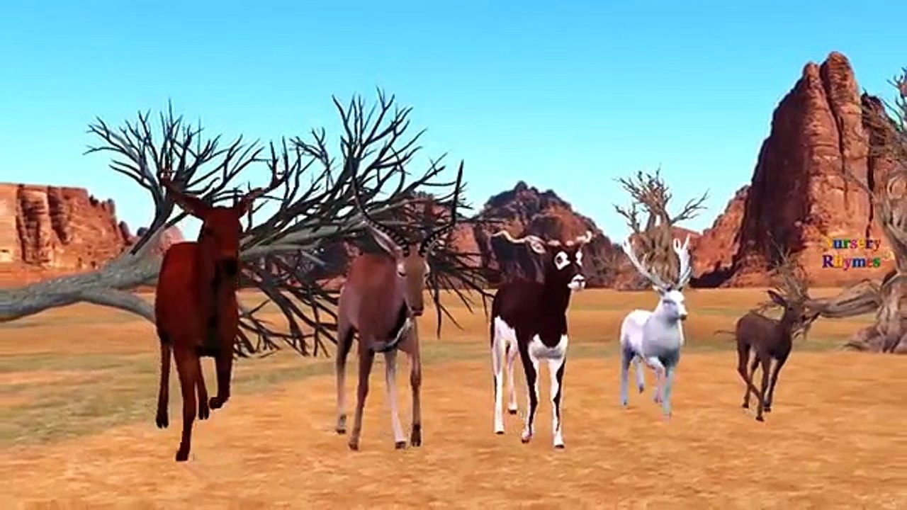 Finger Family Songs Lion and Deer Cartoon For Children | Finger Family Children Nursery Rhymes