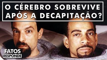 O que Acontece com o Cérebro após a decapitação