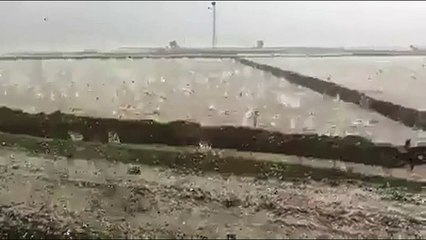 lluvia de piedras