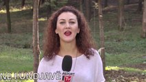 Report TV - Rreze Dielli, Aktivitetet kulturore