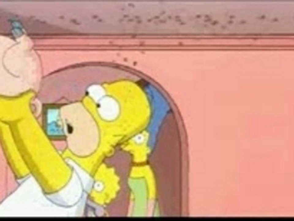 Simpsons - Spider Cochon