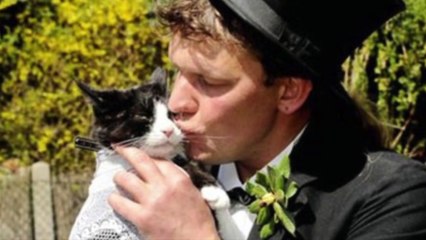 Shocking Human - Animal Relationships