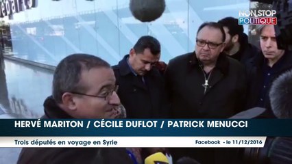 Crise à Alep : Cécile Duflot, Hervé Mariton et Patrick Menucci en voyage en Syrie
