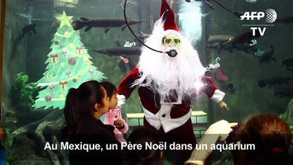 Un Père Noël plongeur dans un aquarium mexicain