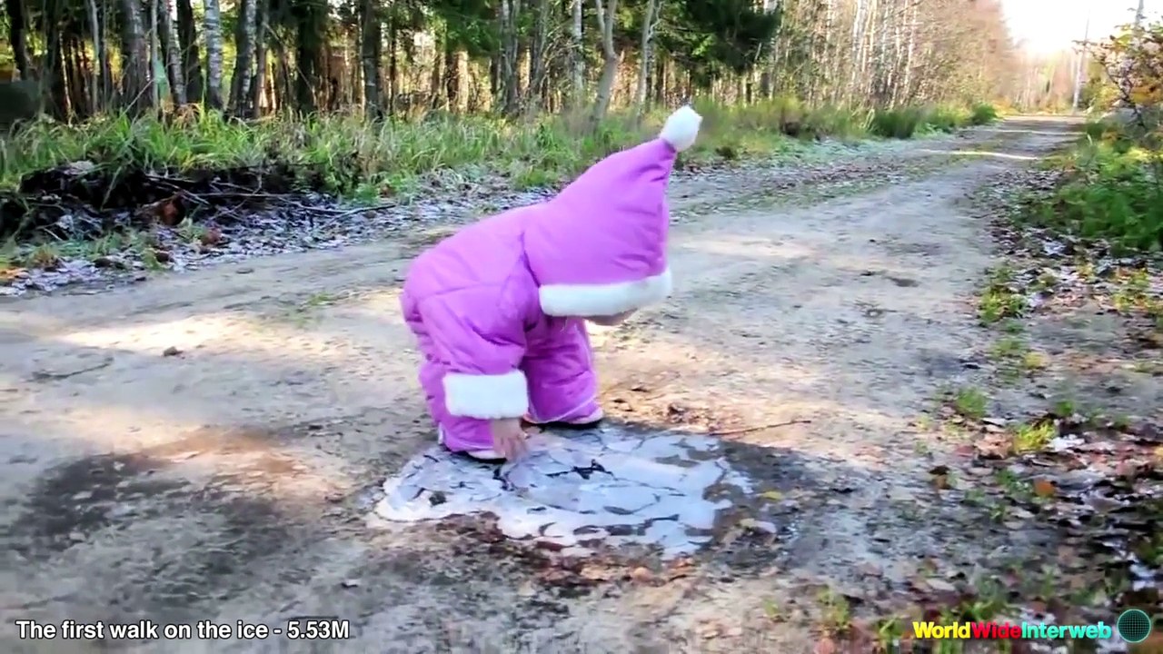 Take a trip down 2013's viral video lane