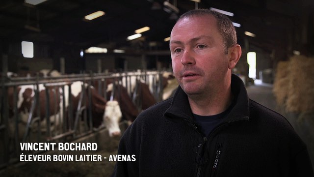 Réduire l'utilisation des antibiotiques vétérinaires