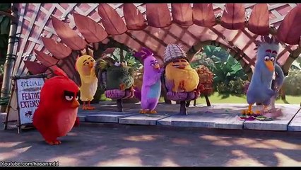 The Angry Birds Movie | Comfort Cartoon Eps3