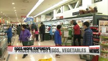 Prices rise for eggs, vegetables due to weak harvests, bird flu