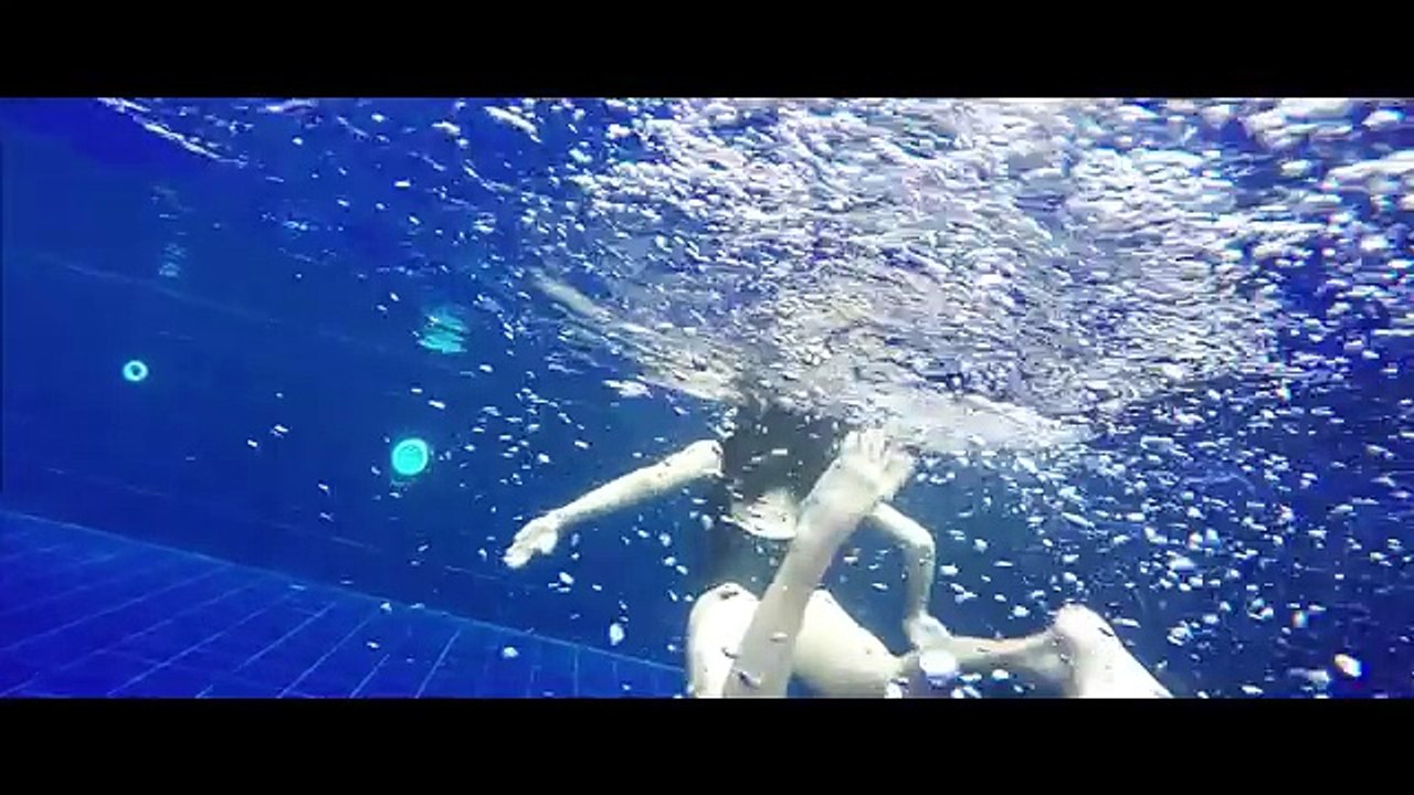 Giant turtle, Sri Lanka, World trip, Love story, Life game