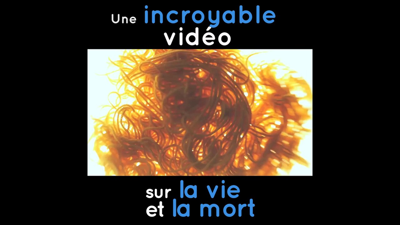 La plus belle manière de dire que "La vie ne tient qu'à un fil"