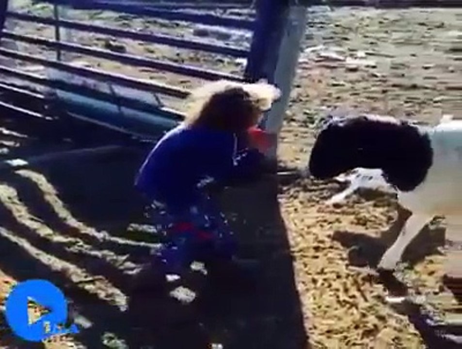 Ha...ha... People vs Animal