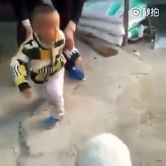 Funny , Kid Fight Sheep