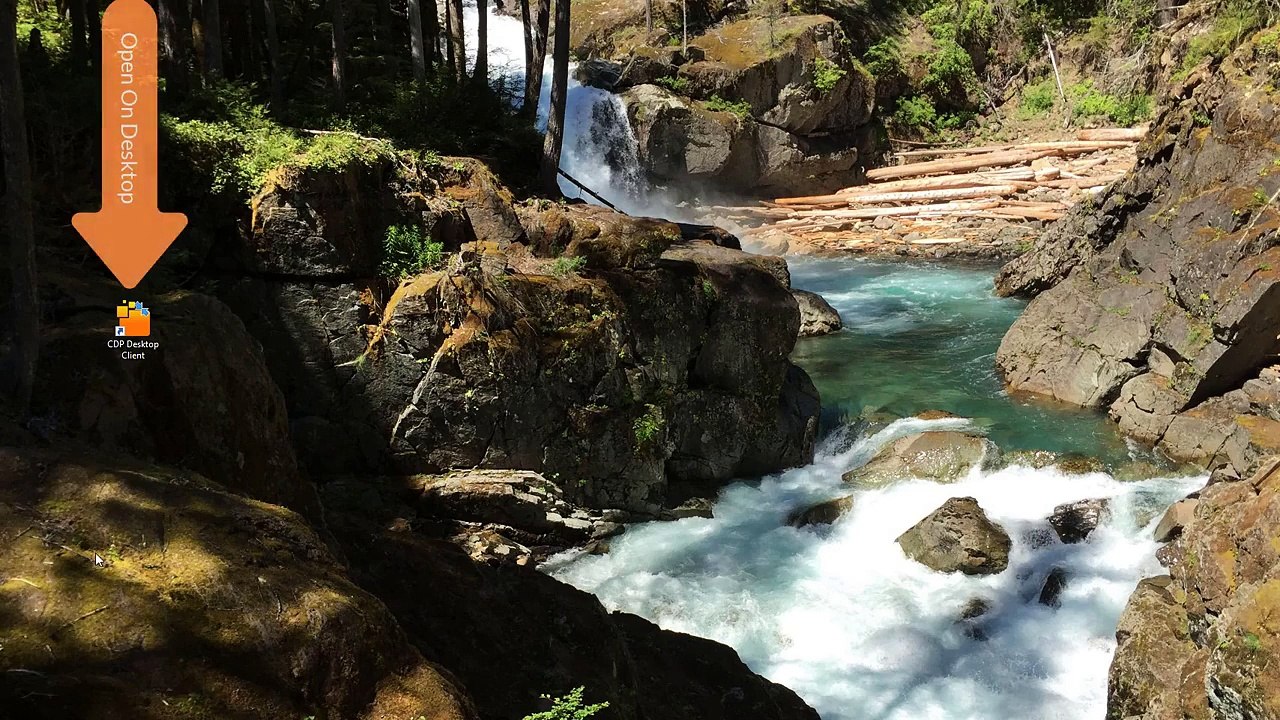 CallShaper Agent CDP Desktop Client  Predictive Dialer