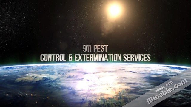 Best Pest Extermination Service Kitchener | 911 Pest