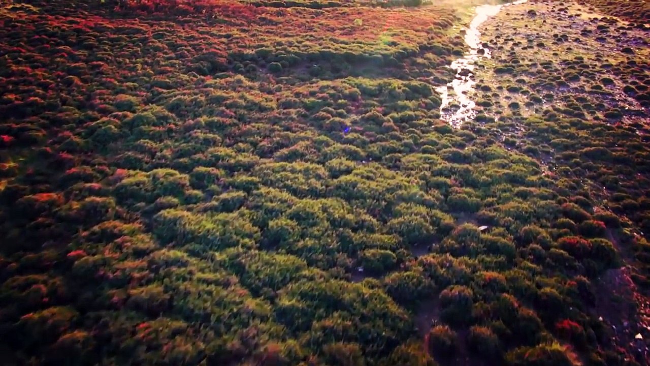 Drave, a “aldeia mágica” de Portugal! Descobre aqui tudo sobre este cantinho especial!