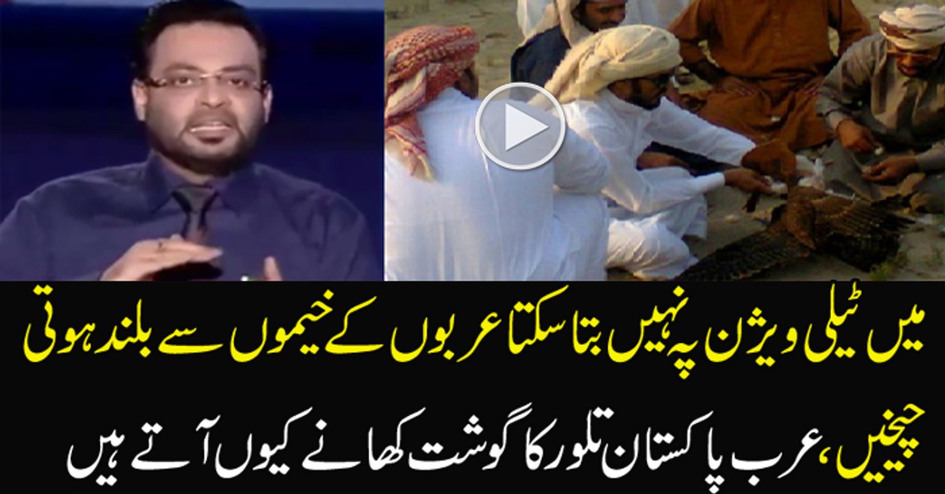 Finally Aamir Liaqut Revealed Why Arab Comes to Pakistan for Hunting Tiloor_2
