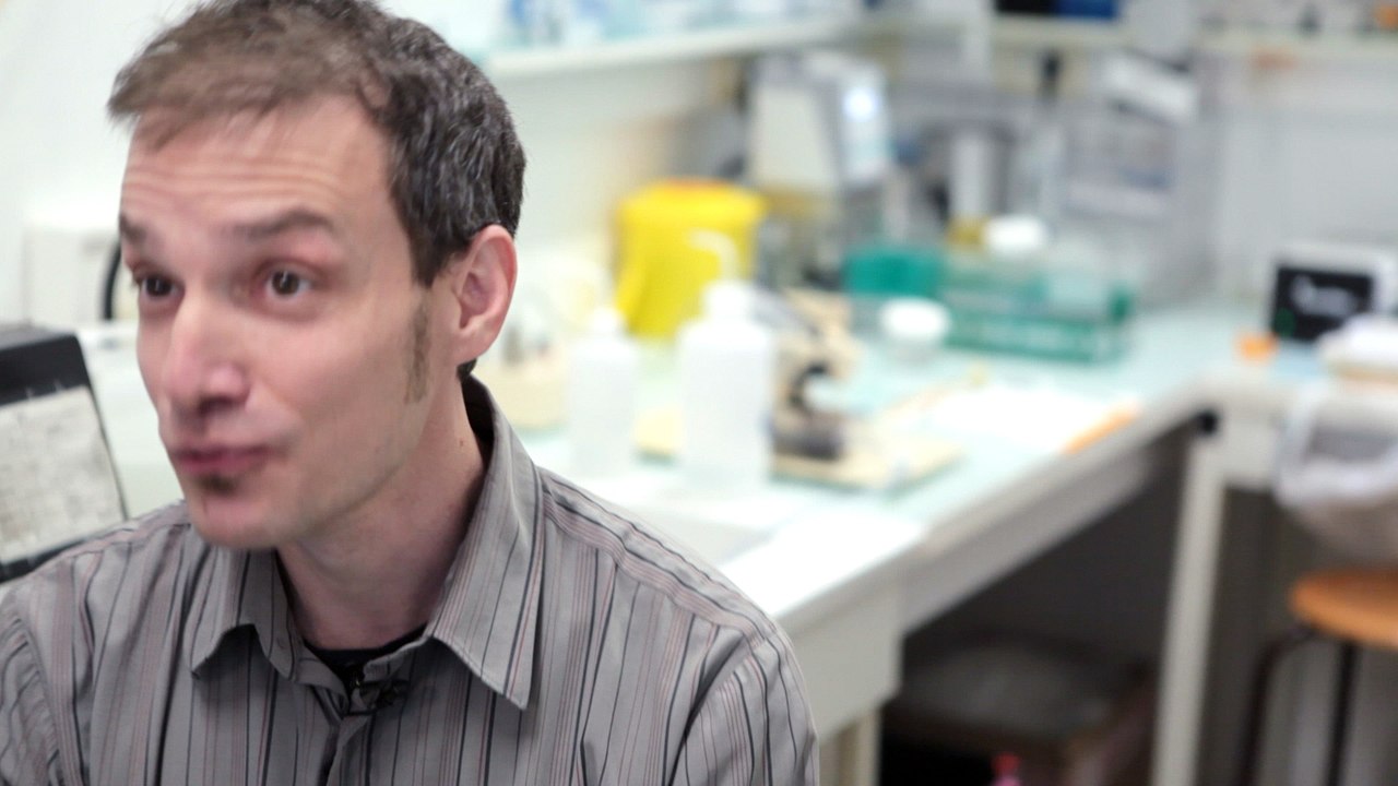 La Fondation Medisite pour les neurosciences récompense ses deux premiers lauréats