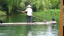Man using Bamboes at The River with Birds