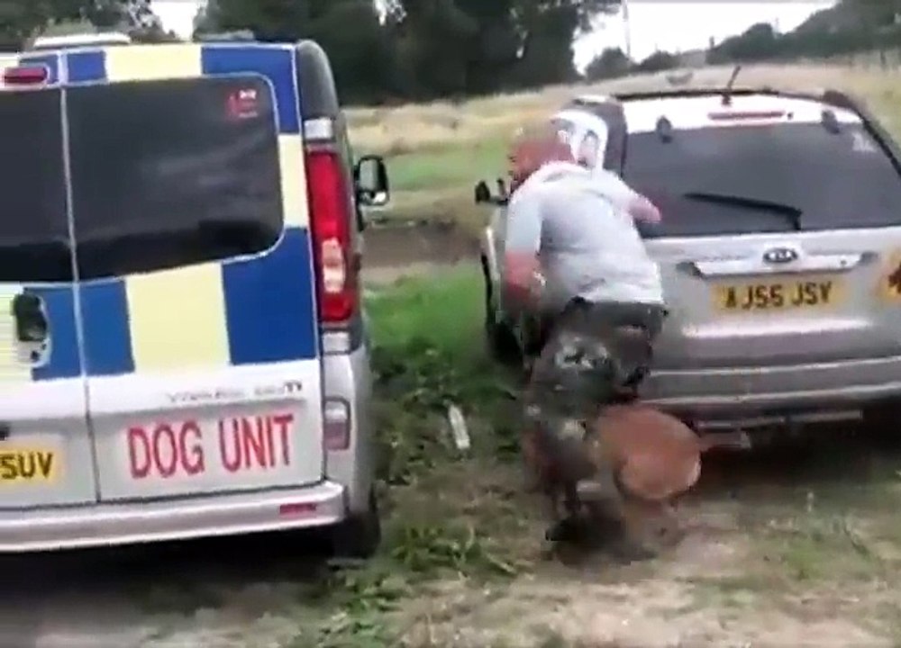 Vous n'avez jamais vu un chien d'attaque aussi bien dressé que celui-ci