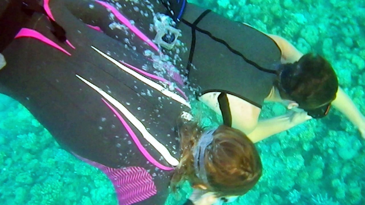 Les humains et les dauphins...rencontre
