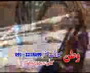 goray chitay dolay Afshan  Zeebi Song playitpk