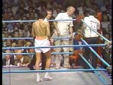 WBA World featherweight title     1971-09-02