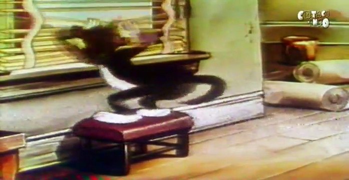 Kratki Crtaci - Tapete