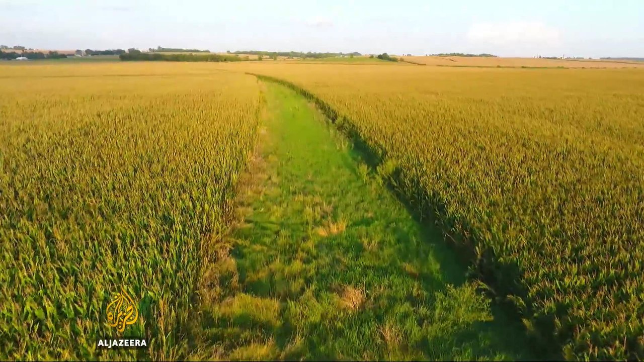 US: Iowa researchers work on restoring prairies