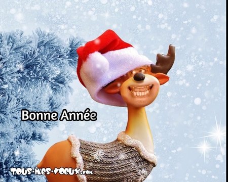 La chanson de la bonne année, bonne année humour, carte voeux animée