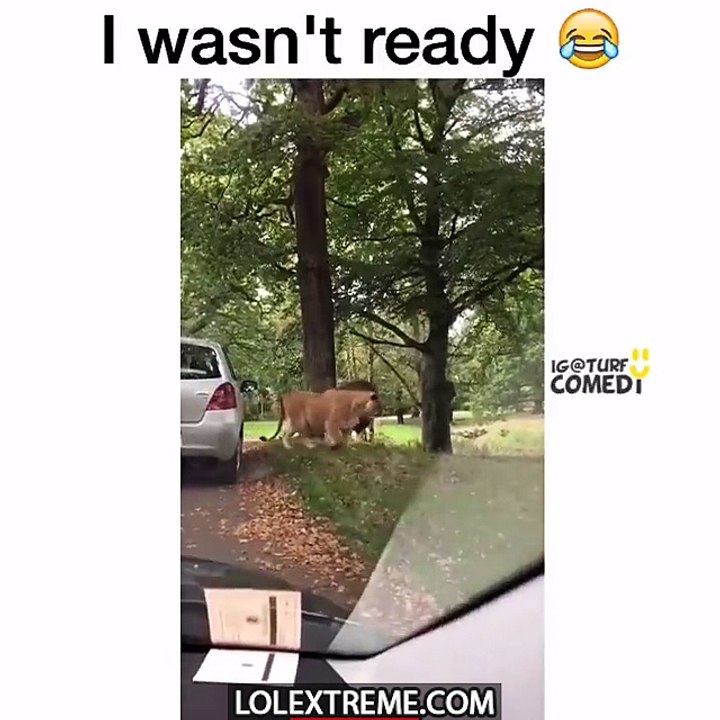 Shocking baby fail