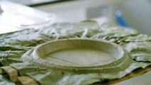 A iniciativa que pode acabar com o uso de pratos de plástico