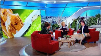 France 2 - Emission AMANDA 30-11-2016 - chronique véto