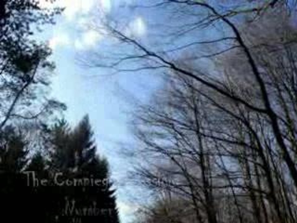 The Compiegne Session # 2 !