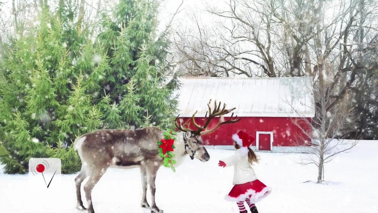Santa's Helpers Are Starving In The Arctic