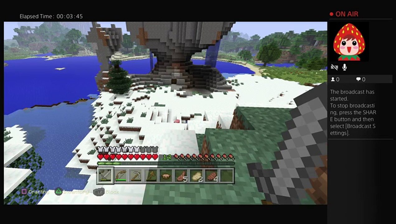Minecraft #6 (9)