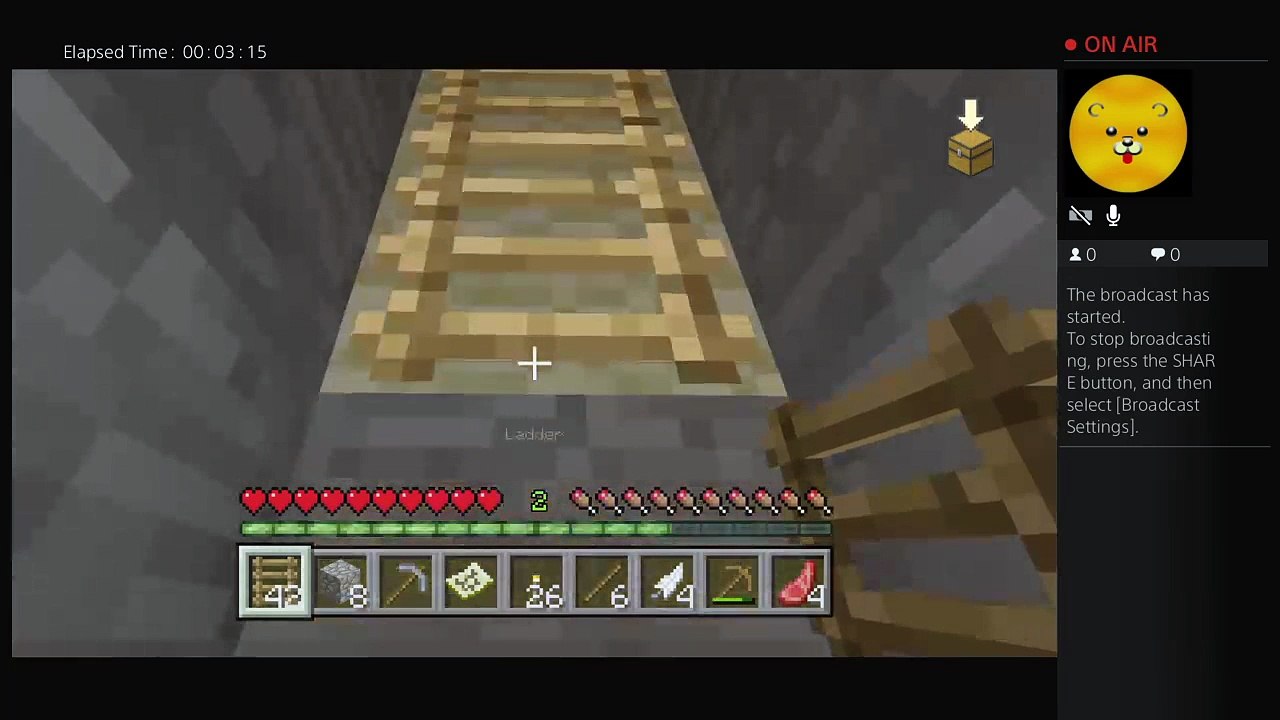Building a community world