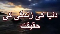 (Best) Duniya ki Zindagi ki Haqeeqat By Maulana Tariq Jameel